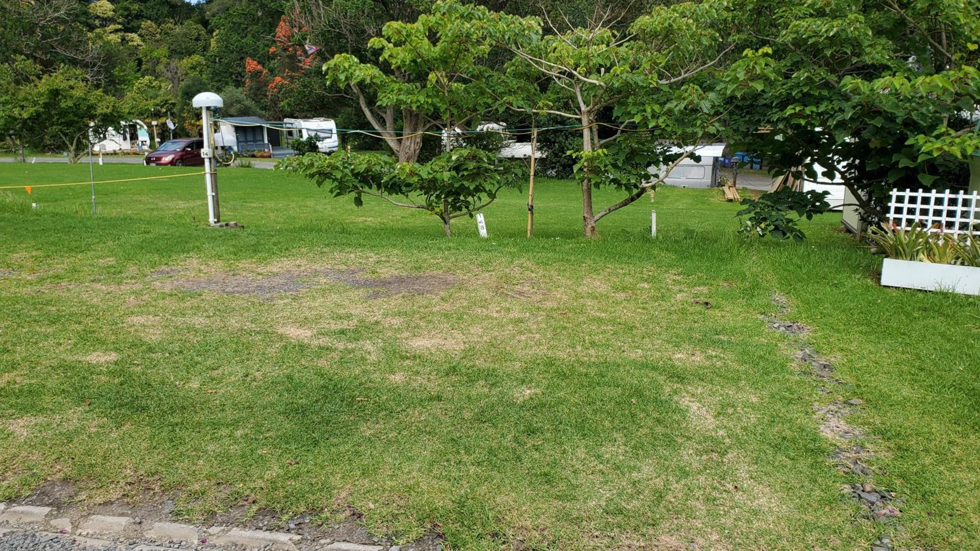 Dickson Holiday Park Thames Dış mekan fotoğraf