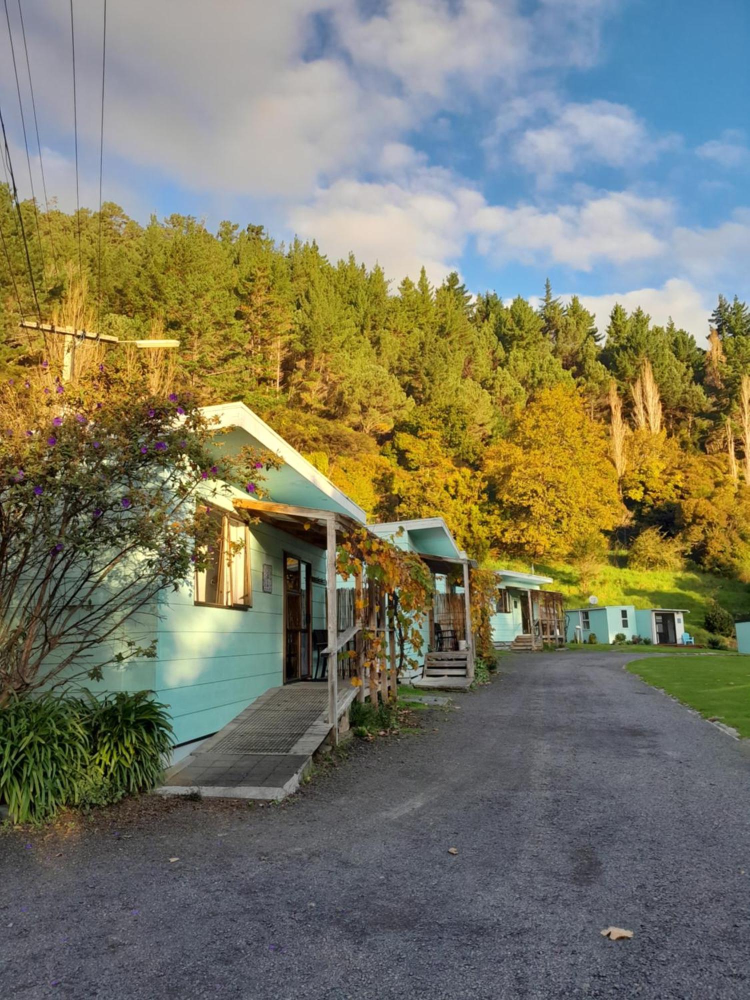 Dickson Holiday Park Thames Dış mekan fotoğraf